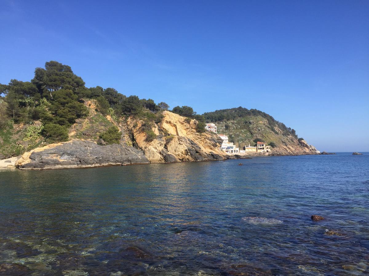Apartaments Ample Port Marina Palamós Eksteriør billede